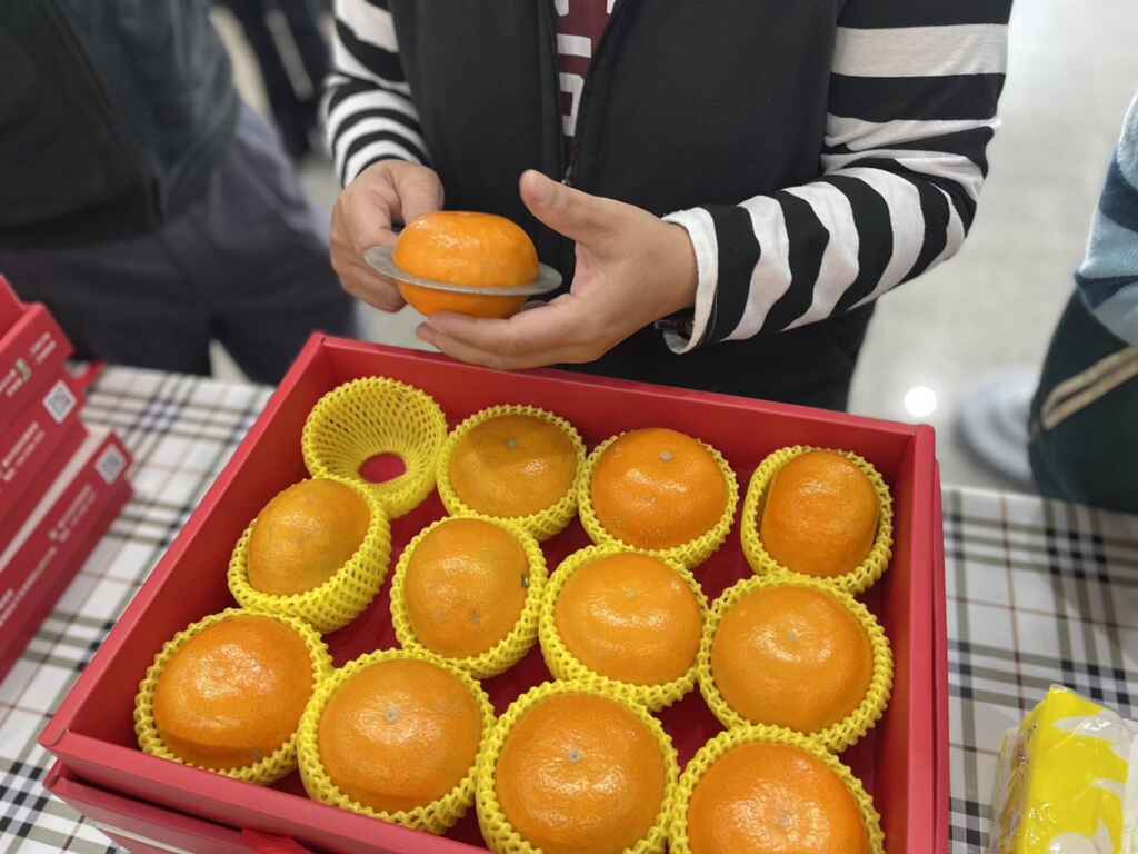▲果品大小品評。（台中市農業局提供）