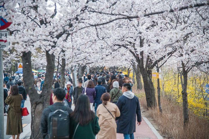 熱血! 韓國一級「棒」《2025髮香揮灑韓職棒》開跑