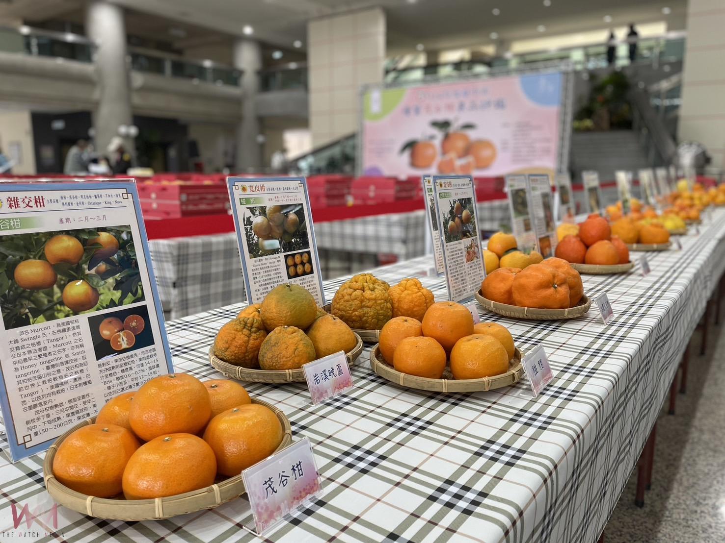 中市優質茂谷柑果品評鑑 農業局:石岡區涂文庭勇奪冠軍殊榮 - https://www.watchmedia01.com