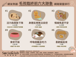 網友熱議毛孩臨終前六大跡象 網路聲量排行