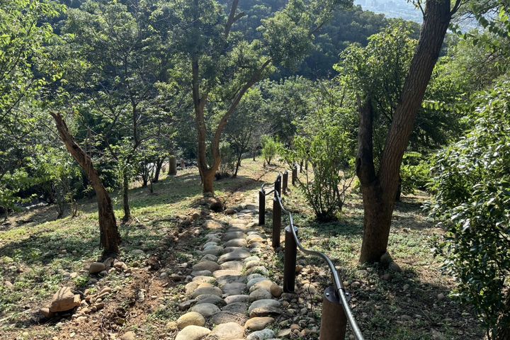 鐵砧山林之道手作步道-好漢坡路段。 圖:臺中市政府觀光旅遊局/提供
