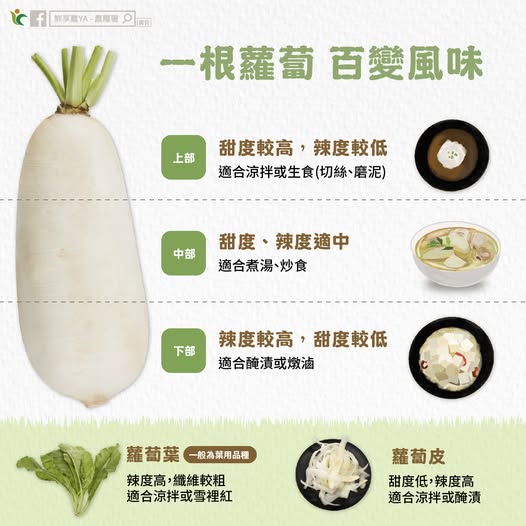 蘿蔔怎麼吃最對味?農糧署曝5部位最佳吃法 58 477520624 943962954549002 4006690100575692199 n