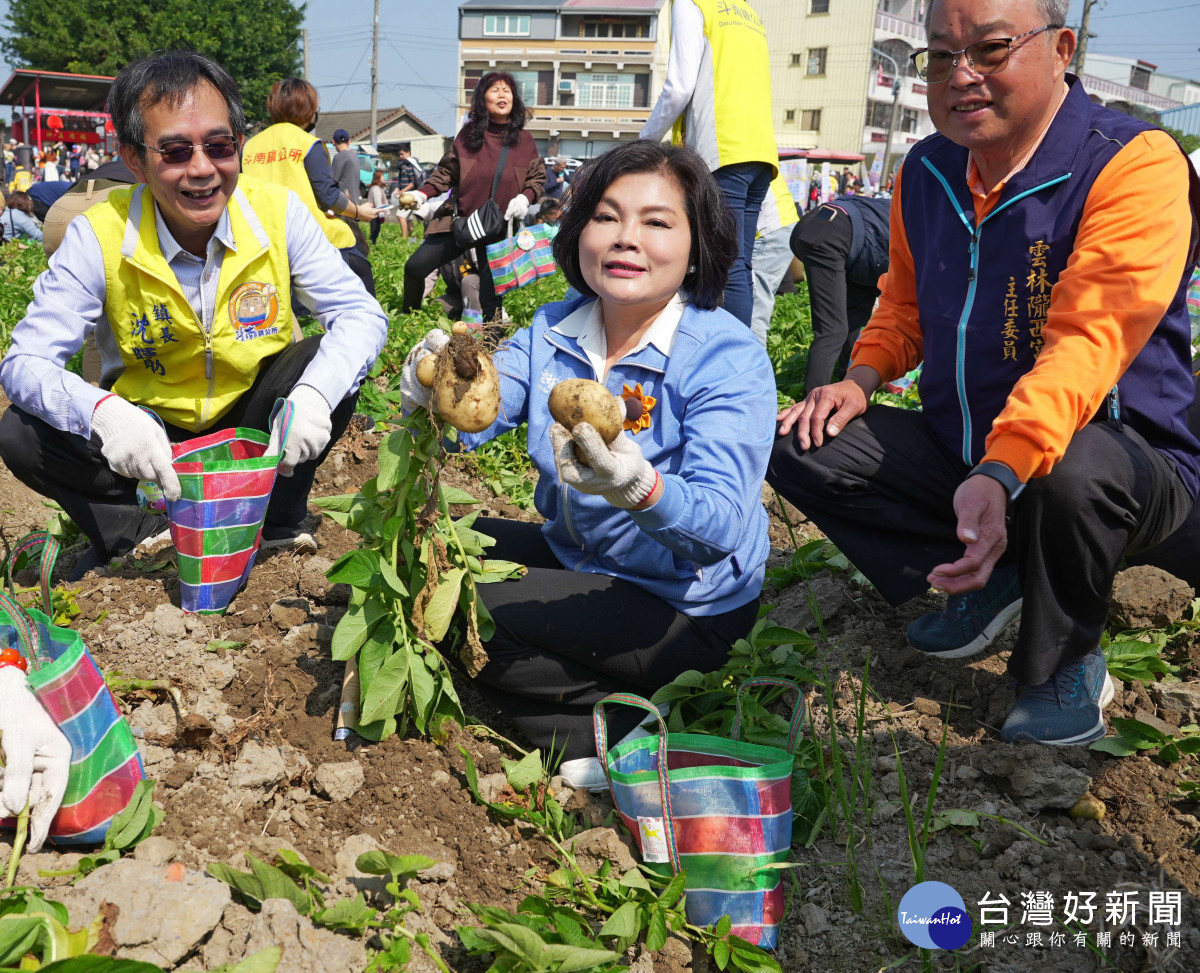 雲林縣長張麗善體驗田間採收馬鈴薯樂趣／翻攝照片