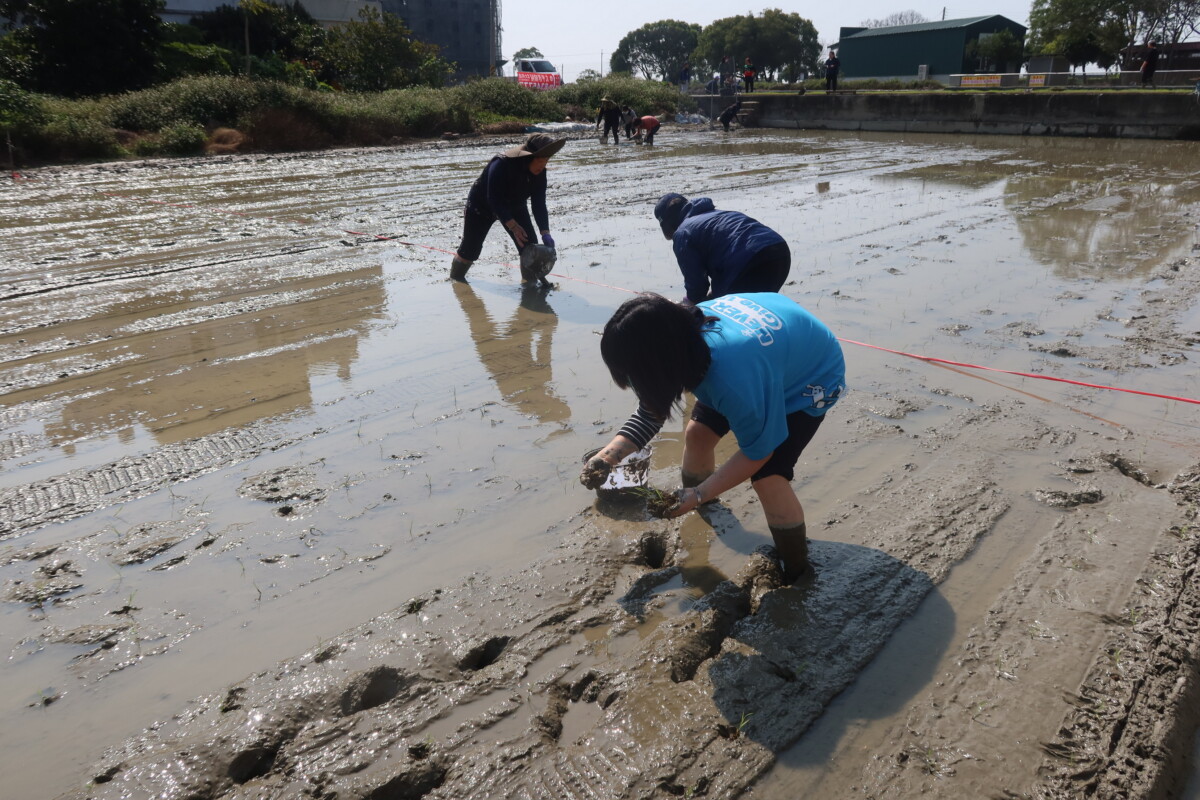 482f1e7f70c669209116251f8f5713ea