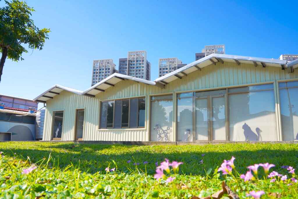 ▲新北市動保處將打造首座貓咪室內遊憩區。（三芝區公所提供）