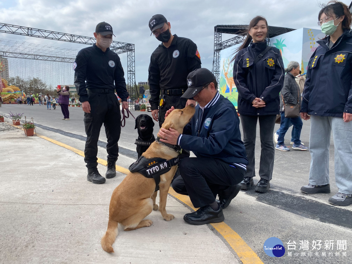 桃園燈會警犬負責場檢任務,協助犯罪預防宣導與民眾互動。