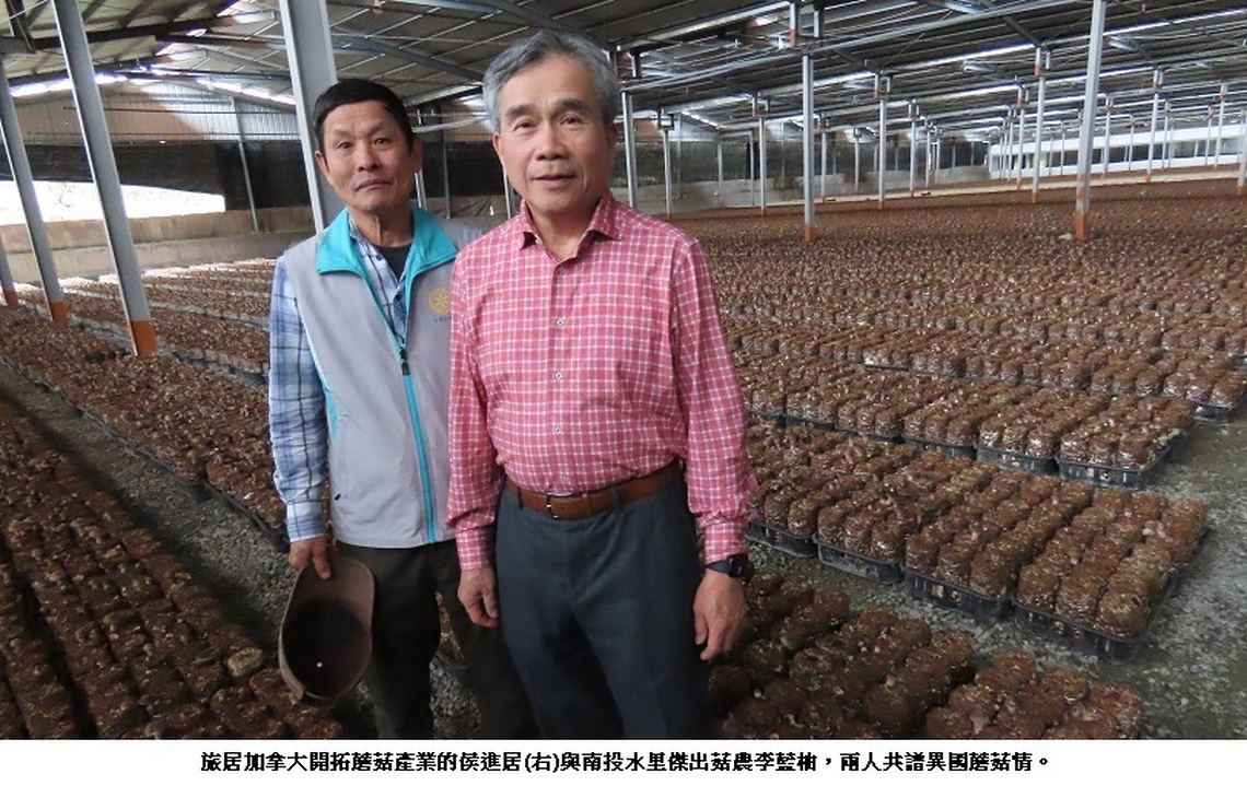 侯進居與李藍柚共譜「異國蘑菇情」