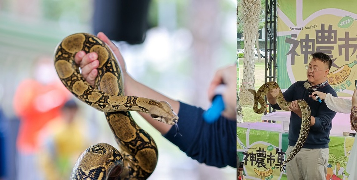 神農市集寵物「經」嘆號! 萌寵認養、變裝、教育 「蛇」麼都有