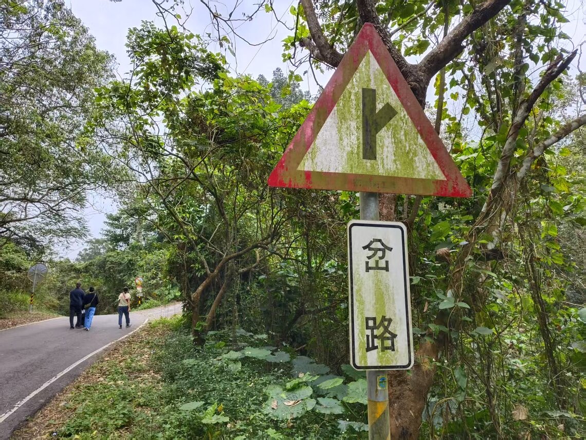 交通號誌長青苔?該誰管?