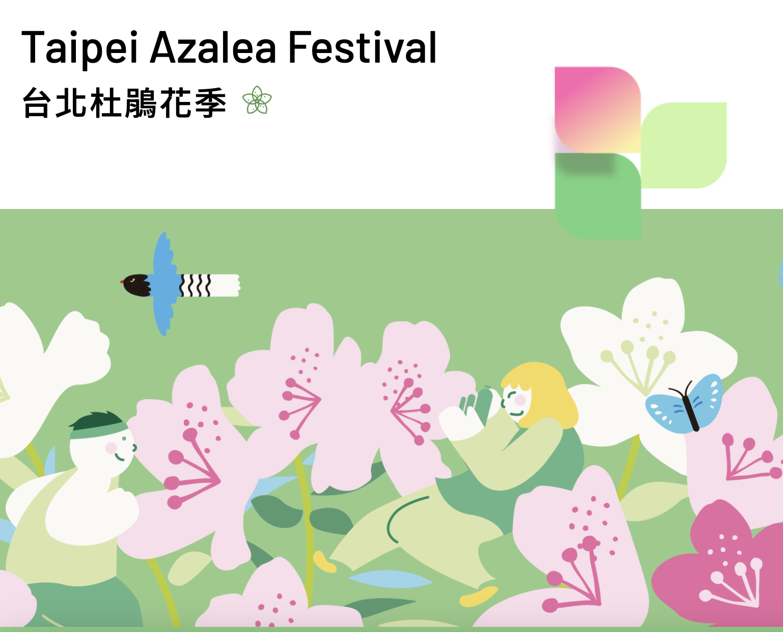 搭捷運就能到!台北「逾2千株繡球花」綻放7成 最美花期曝
