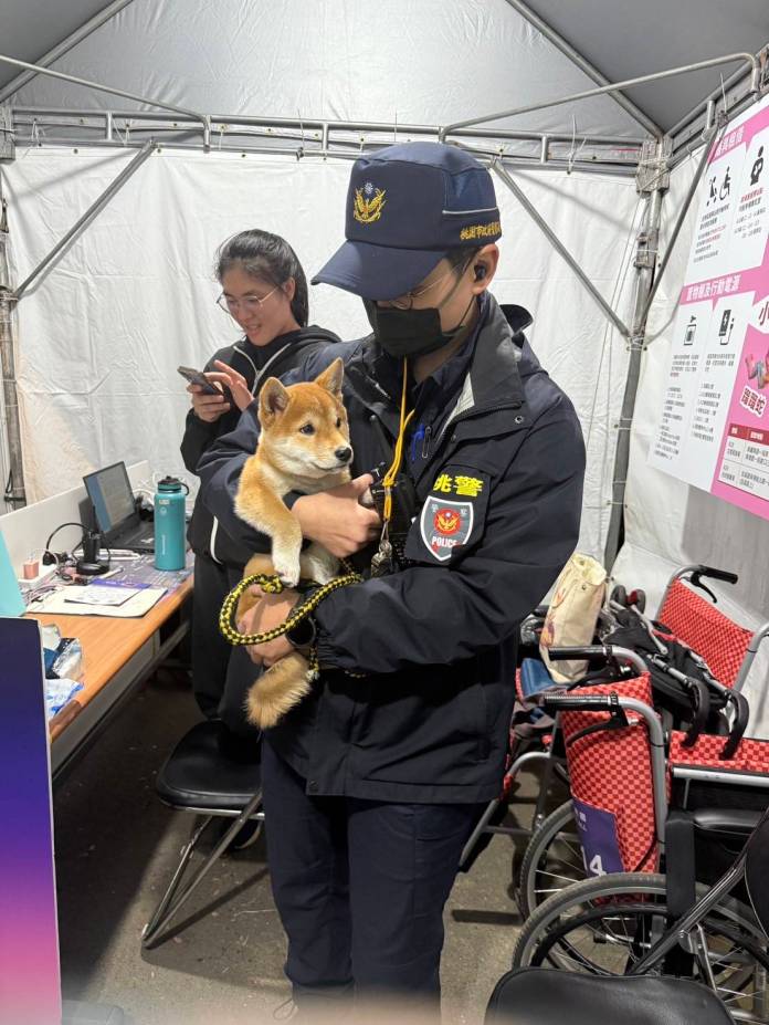 柴犬逛燈會太興奮走失 桃警助尋找飼主 60 2074298 0
