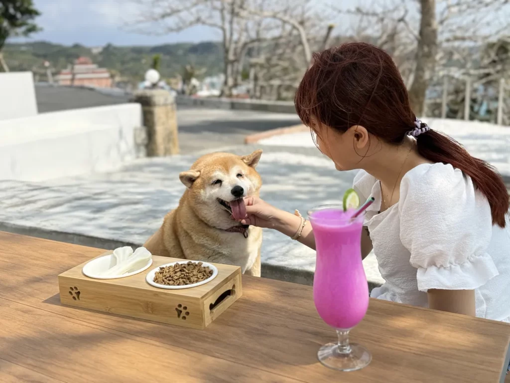 「船帆石No.1000」配合館內寵物友善的政策,也歡迎帶著毛小孩一起在咖啡廳的戶外區,享受墾丁的碧海藍天。