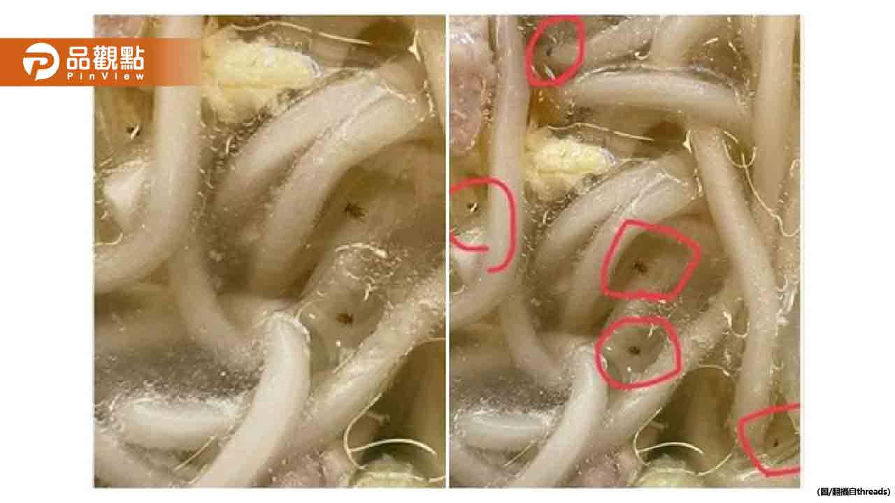 噁爆！高雄知名水餃店湯麵「驚見5隻果蠅」 衛生局要查了