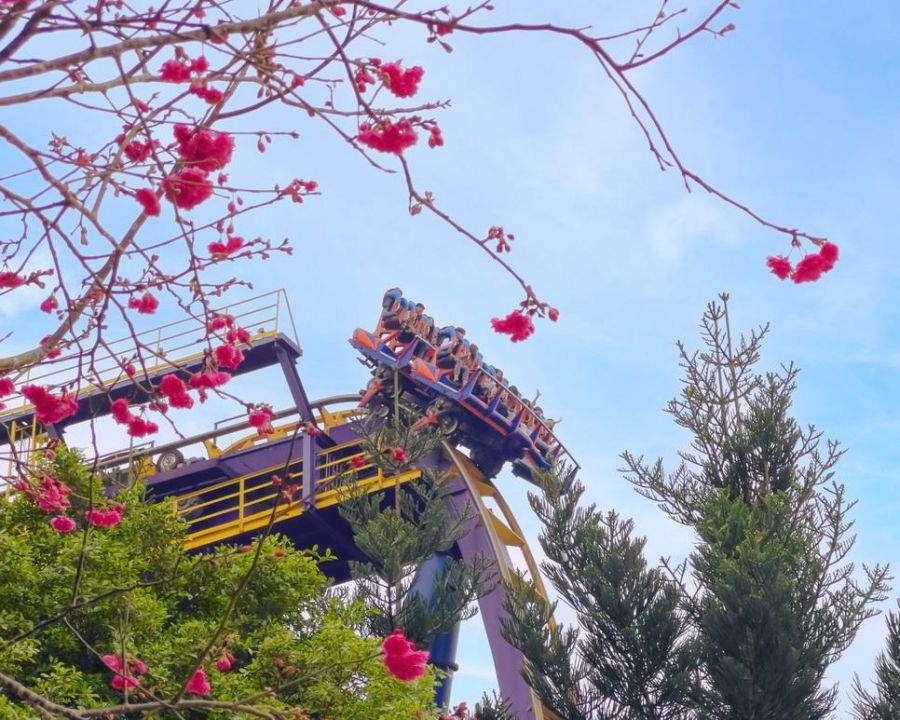 自駕遊雲林劍湖山　車車點點名門票最低3折起