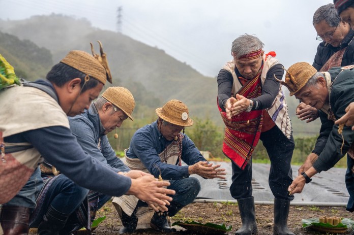 復興區小米播種祭登場 百人撒下種子傳承泰雅文化 53 1235648