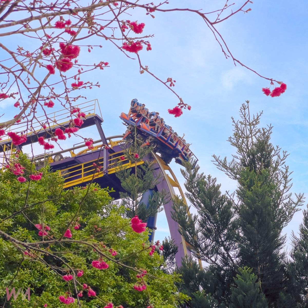 自駕遊劍湖山,一起走吧! 車車點點名車號1.7.9.8 門票最低3折起 - https://www.watchmedia01.com