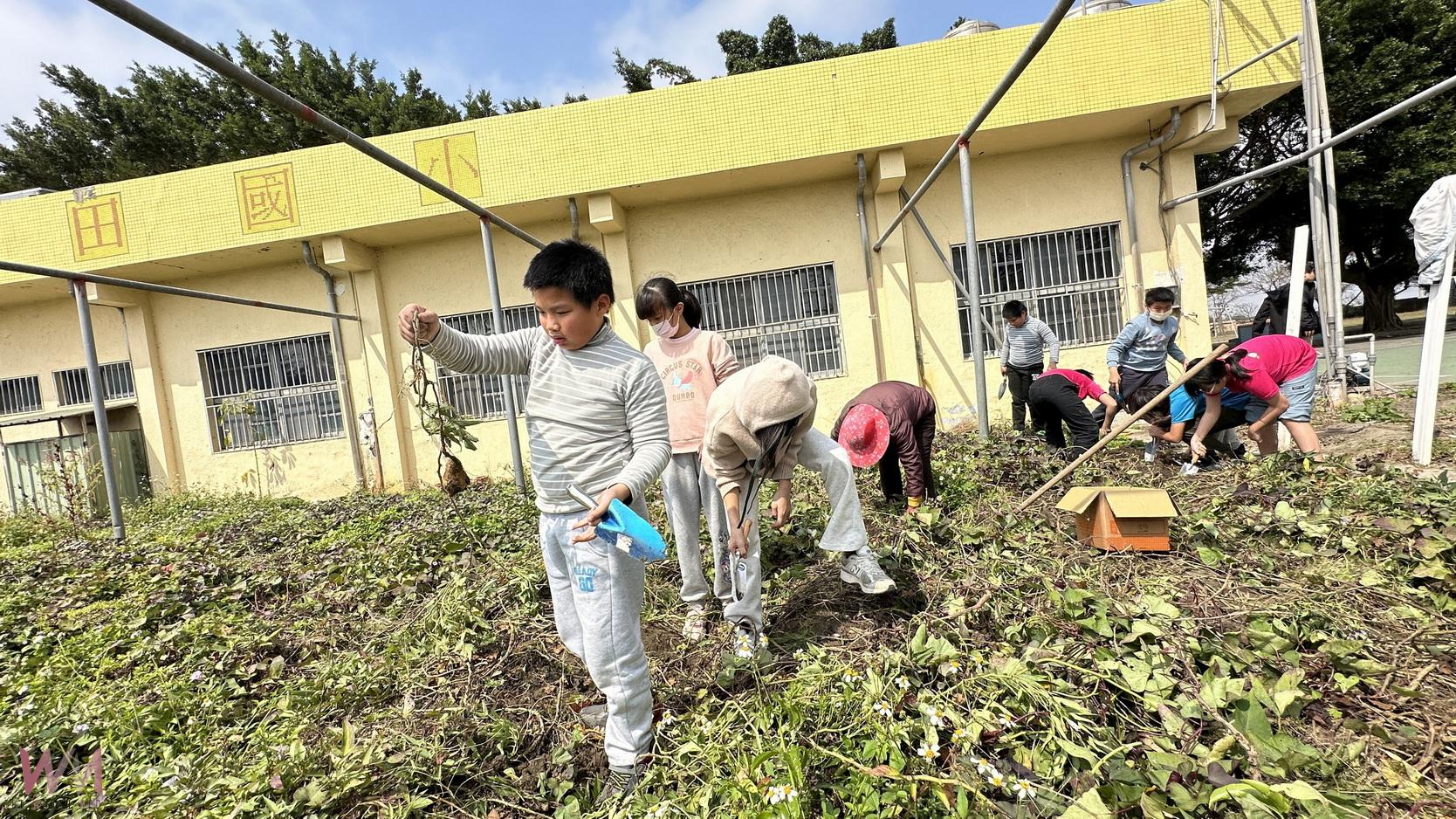 (有影片)/小朋友菜園種地瓜!二林香田國小五甲小朋友的地瓜故事 - https://www.watchmedia01.com