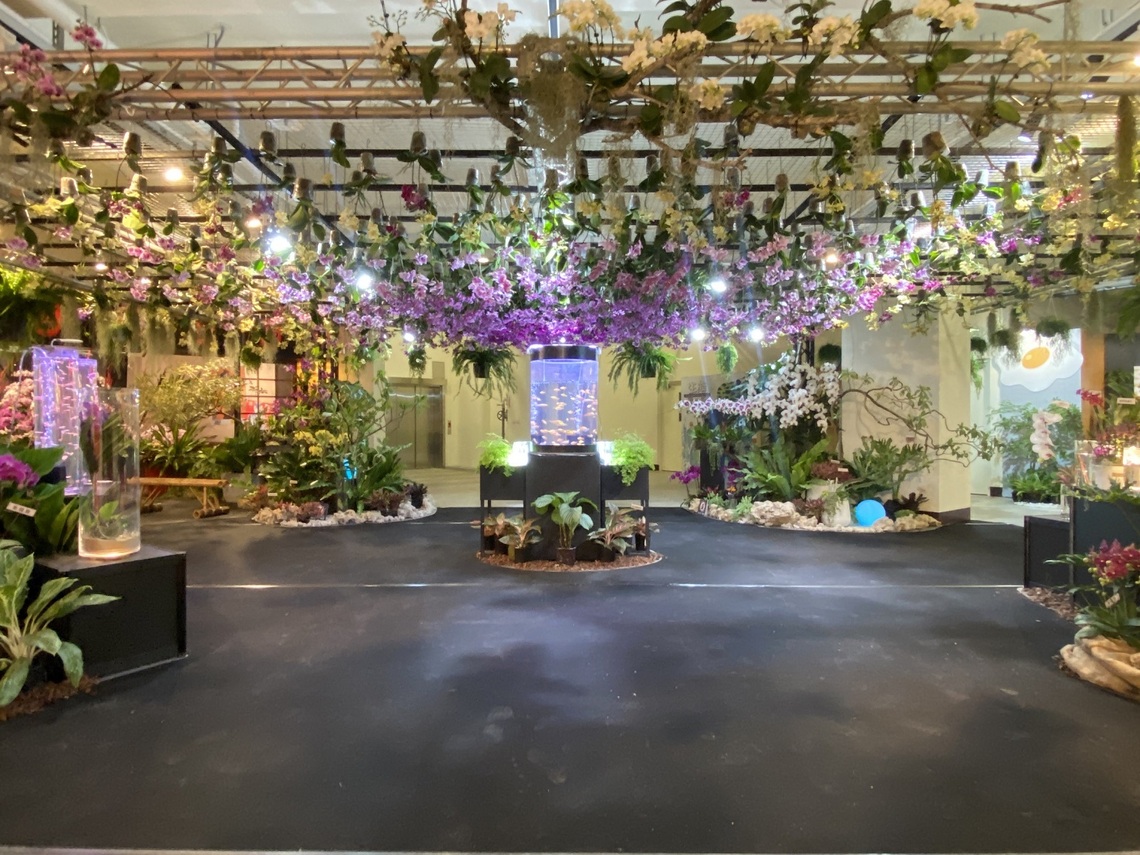 沉浸式蘭花生活美學展 體現屏東未來超質感