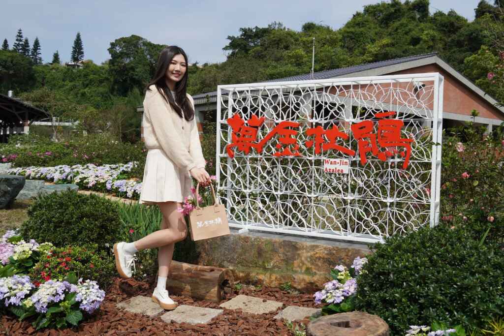 ▲萬金杜鵑花展明(27)日開展，邀請民眾至萬里金山賞花。（新北市農業局提供）
