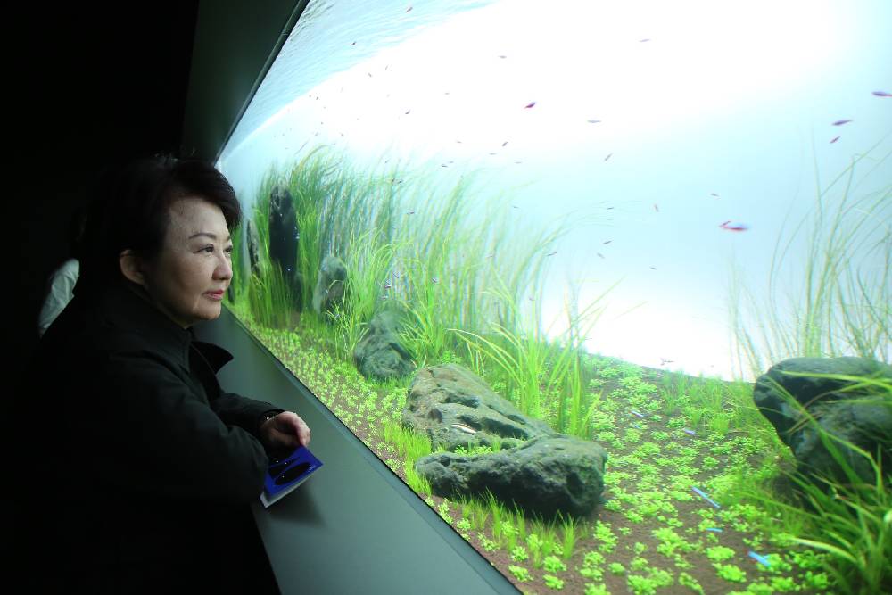 台中海洋館預計暑假開幕 盧秀燕參訪AOAO SAPPORO水族館學營運 224 台中海洋館預計暑假開幕 盧秀燕參訪AOAO SAPPORO水族館學營運 223