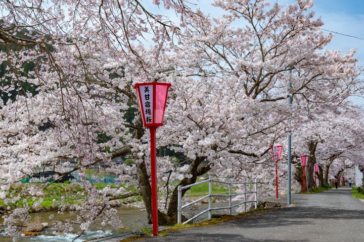 獨家質感日本遊!台中直飛高松/神戶 「鳥取山陰山陽」賞櫻與「瀨戶內藝術季」極致體驗之旅