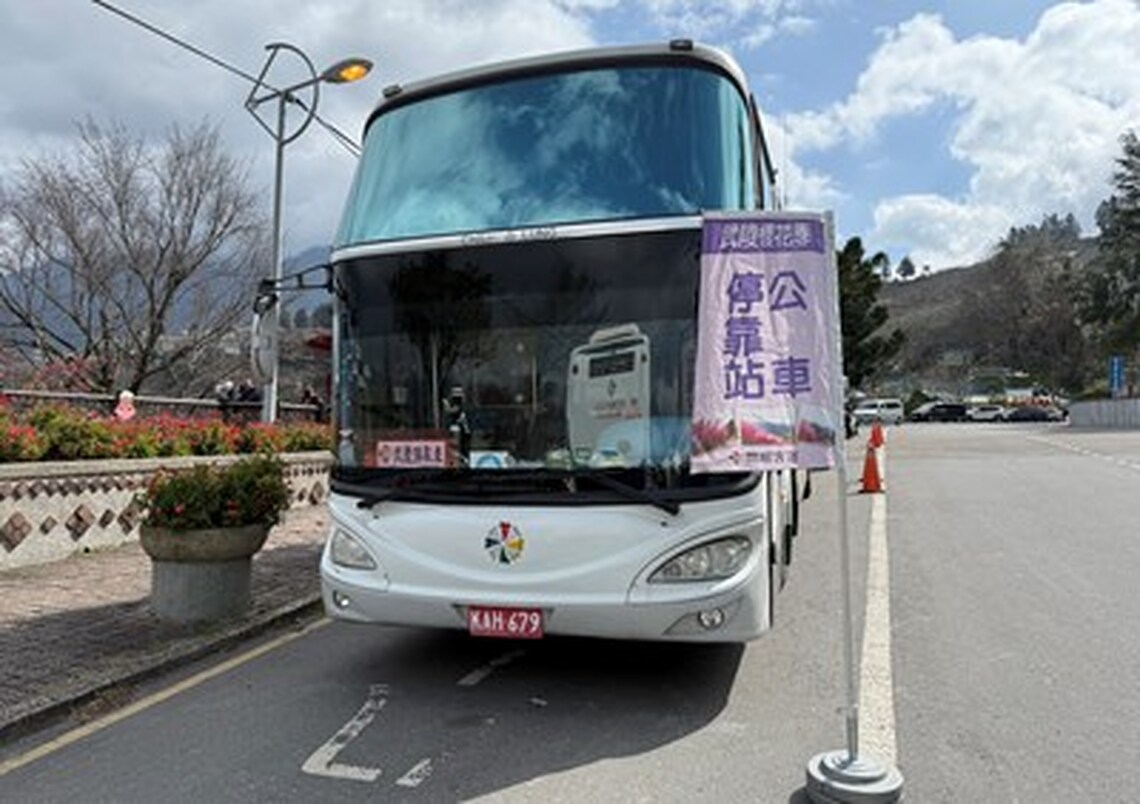 春天花開正好櫻花齊放!中市交通局:228連假武陵櫻花季加開賞櫻專車疏運