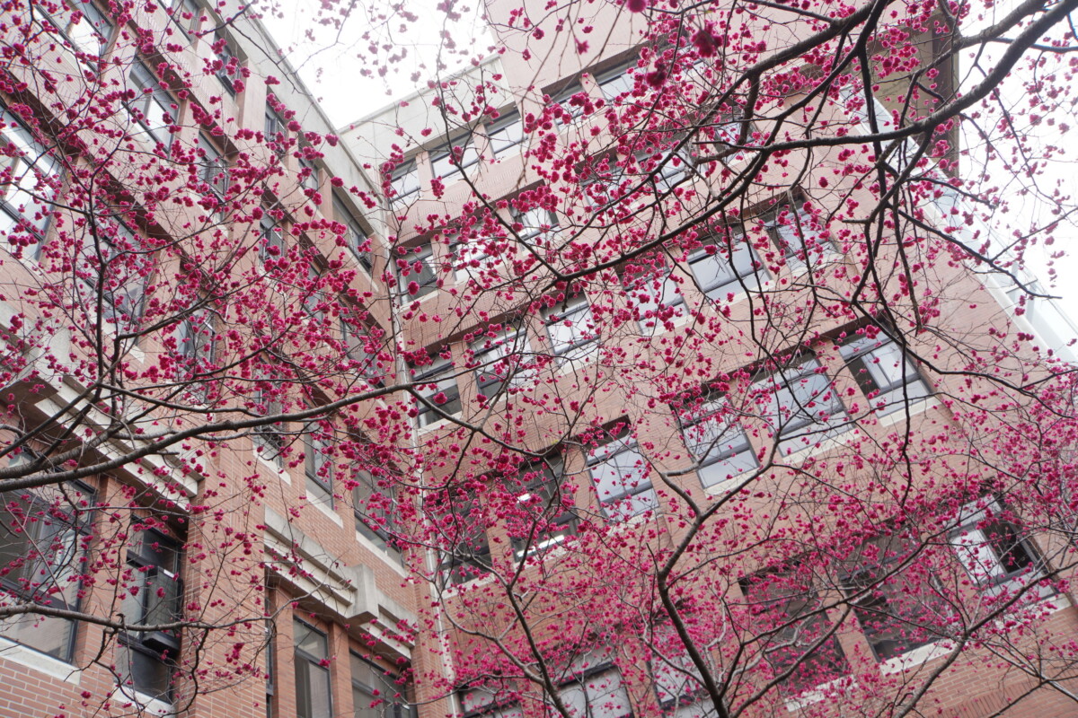 363842c5218abcaeaddaf41013cc2ad1