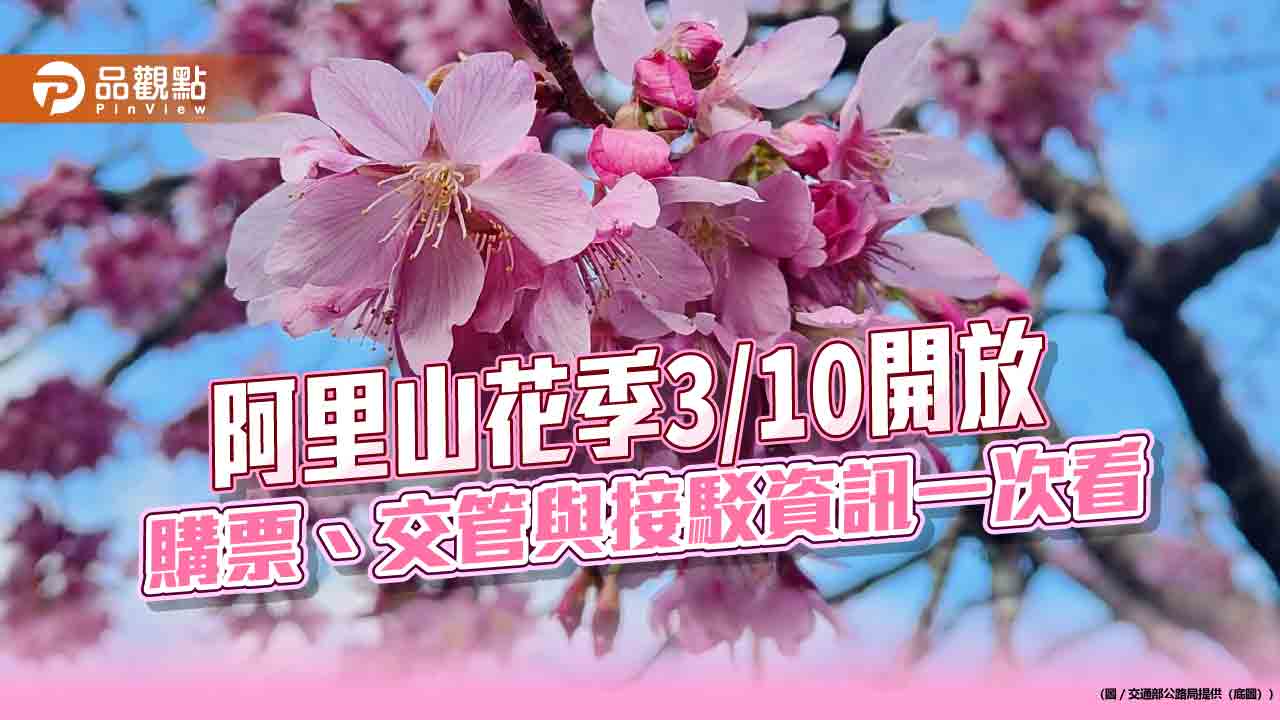 阿里山花季3/10開放 購票、交管與接駁資訊一次看