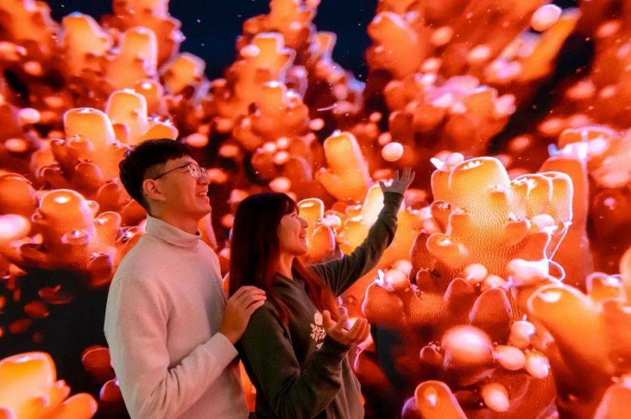 翻轉海洋視界! 屏東海生館首創沉浸式弧形LED攝影棚震撼登場