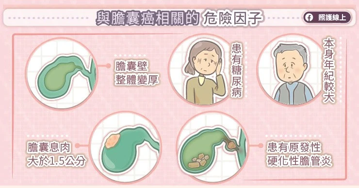 與膽囊癌相關的危險因子