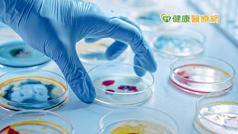 中國發現新病毒HKU5! 可感染人類細胞會大流行嗎?疾管署:還需3特性