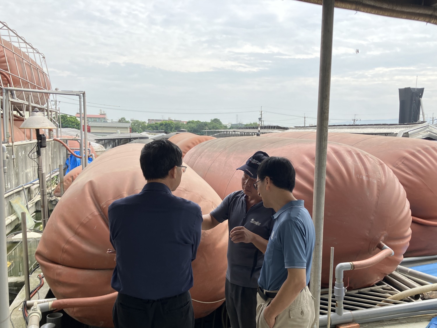 把「黃金」變「綠金」! 全國第一家取得綠電憑證民營養豬場就在高雄