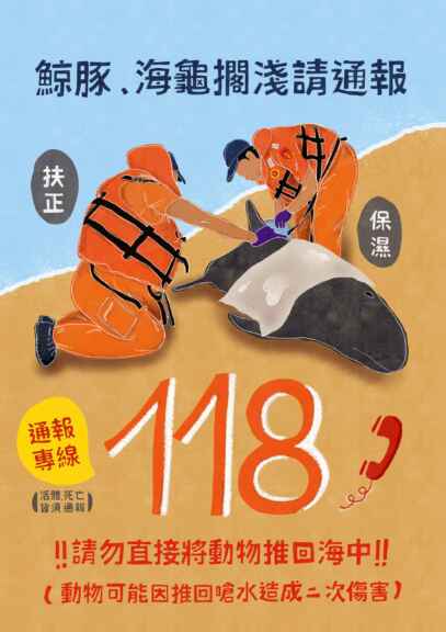 ▲發現擱淺或需要救援的海洋保育類野生動物，請立即撥打海巡「118」專線，切勿將動物推回海中，以免錯失最佳救援時機。（海保署提供）