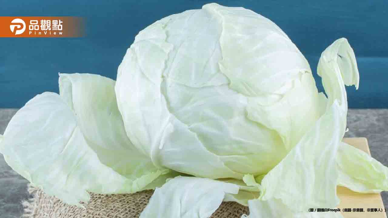 高麗菜價格暴跌!買重還是買輕的?這樣挑脆又甜