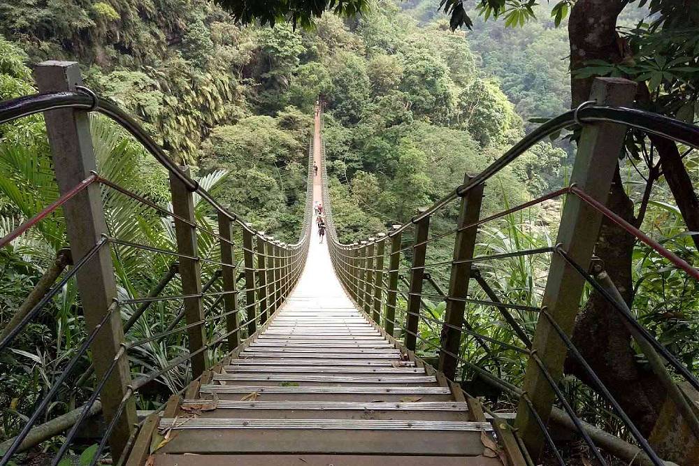 南投竹山天梯景區今起休園 縣府:施工期間不對外開放 222 南投竹山天梯景區今起休園 縣府:施工期間不對外開放 221
