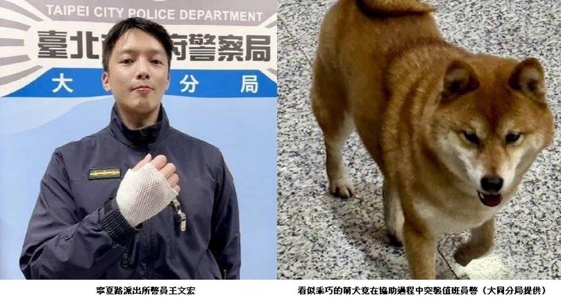 柴犬反咬警! 寧夏派出所警值班遇迷路毛小孩想協助卻遭突襲