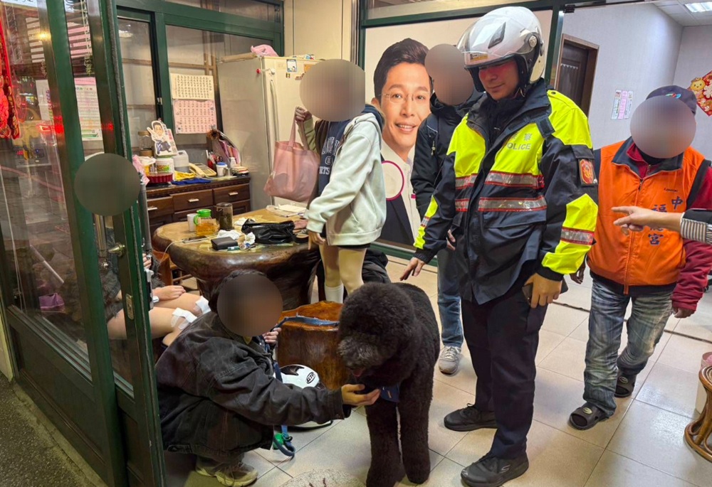 騎車自摔巨型貴賓犬嚇跑 金瑞龍夫人與警聯手尋回Cola 237 248250304a01