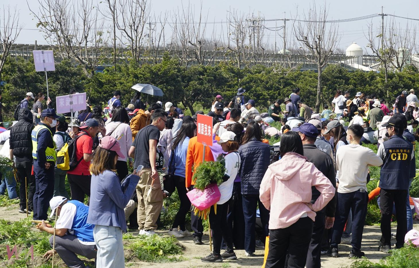「2025國際台灣胡蘿蔔日」盛大登場　臺西警全力疏導交通並宣導安全觀念