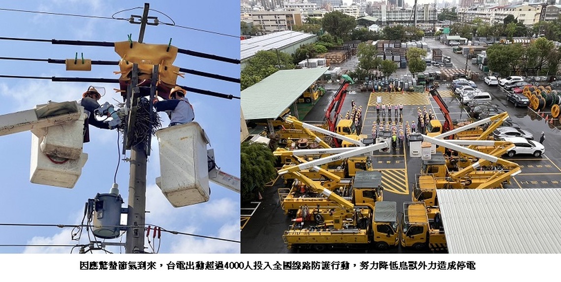 驚蟄到來 台電出動逾4000人強化供電穩定 防鳥獸停電