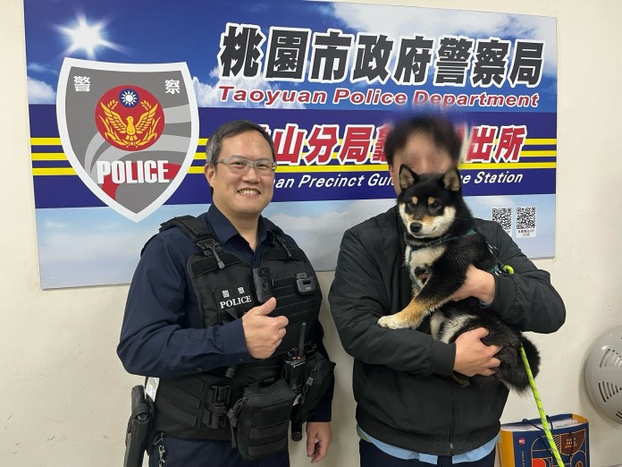 好動黑柴趁隙溜出門 龜山警鷹眼發現牠蹤影 51 S 145489977