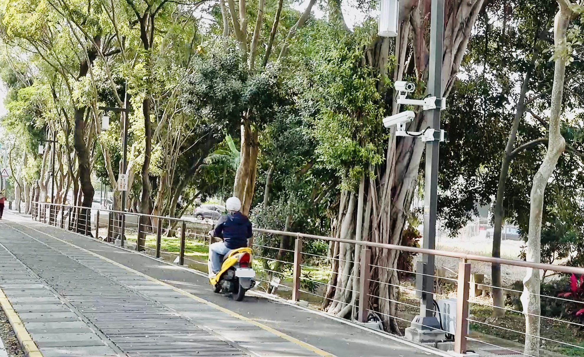 嘉油鐵馬道上線車牌辨識與語音告警　違規車輛減少50%