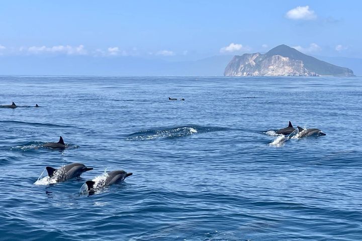 宜蘭龜山島03/01起開放登島。 圖:東北角及宜蘭海岸國家風景區管理處/提供