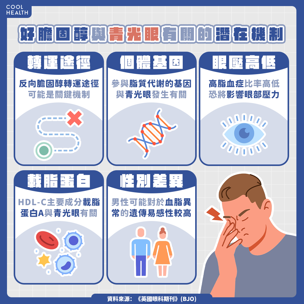 HDL-C為何與青光眼有關? 專家揭5大潛在機制