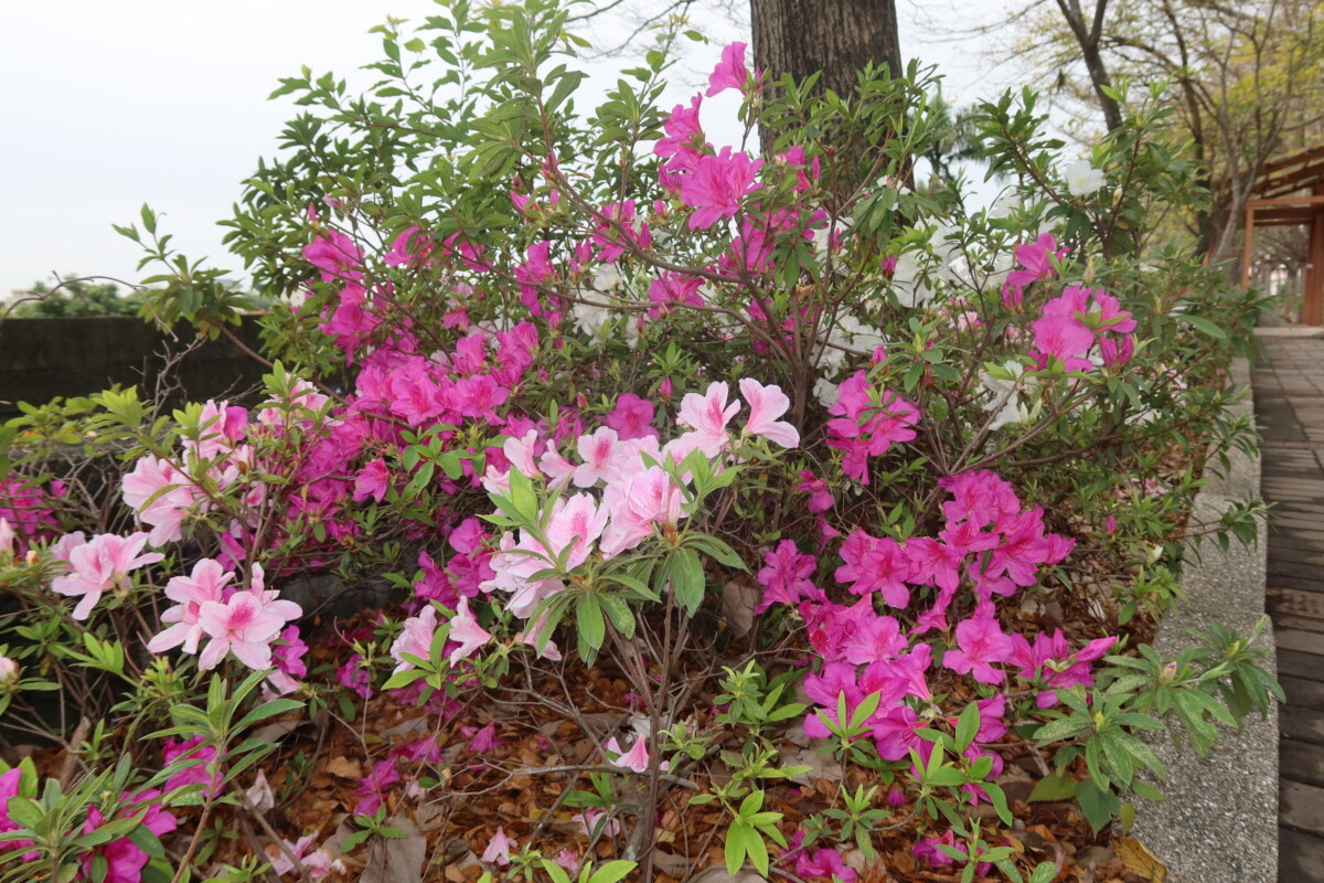 Fd632a123af8b4ce288a38f879e25f5d