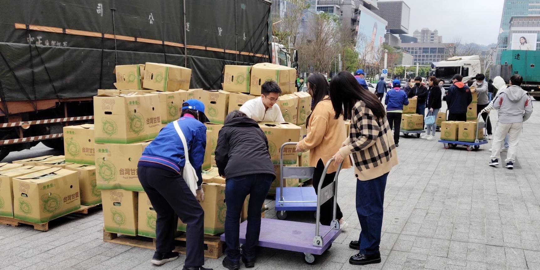 北農辦理北市府高麗菜團購活動　提升農民收益