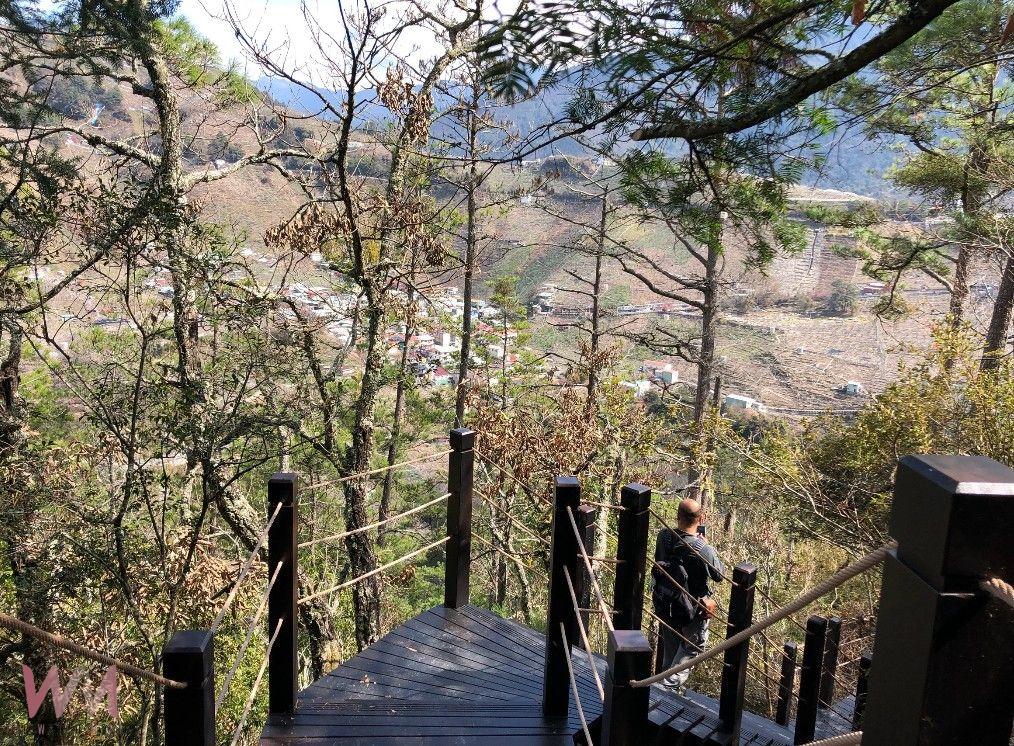 春季旅遊首選中台灣山林秘境 觀旅局:賞櫻、泡湯、踏青 心曠神怡 - https://www.watchmedia01.com