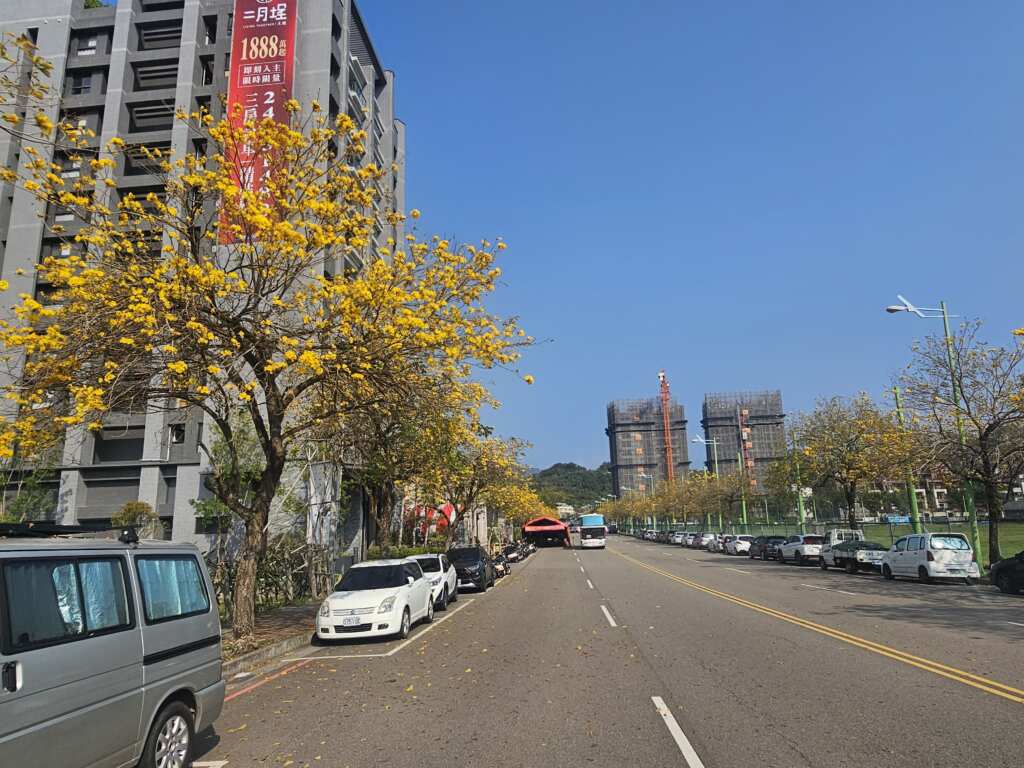 情人橋旁景賢路的黃金大道。