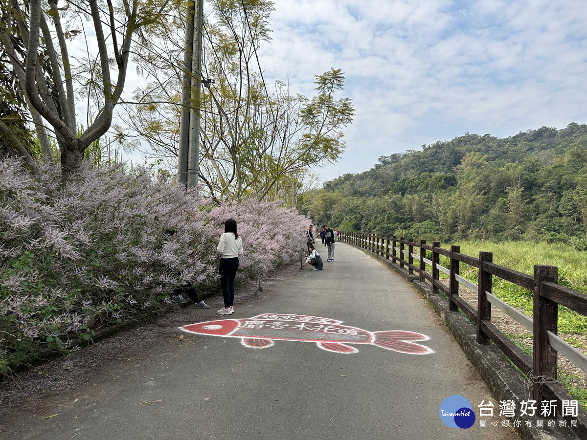 此處花道分為三區。(記者扶小萍攝)
