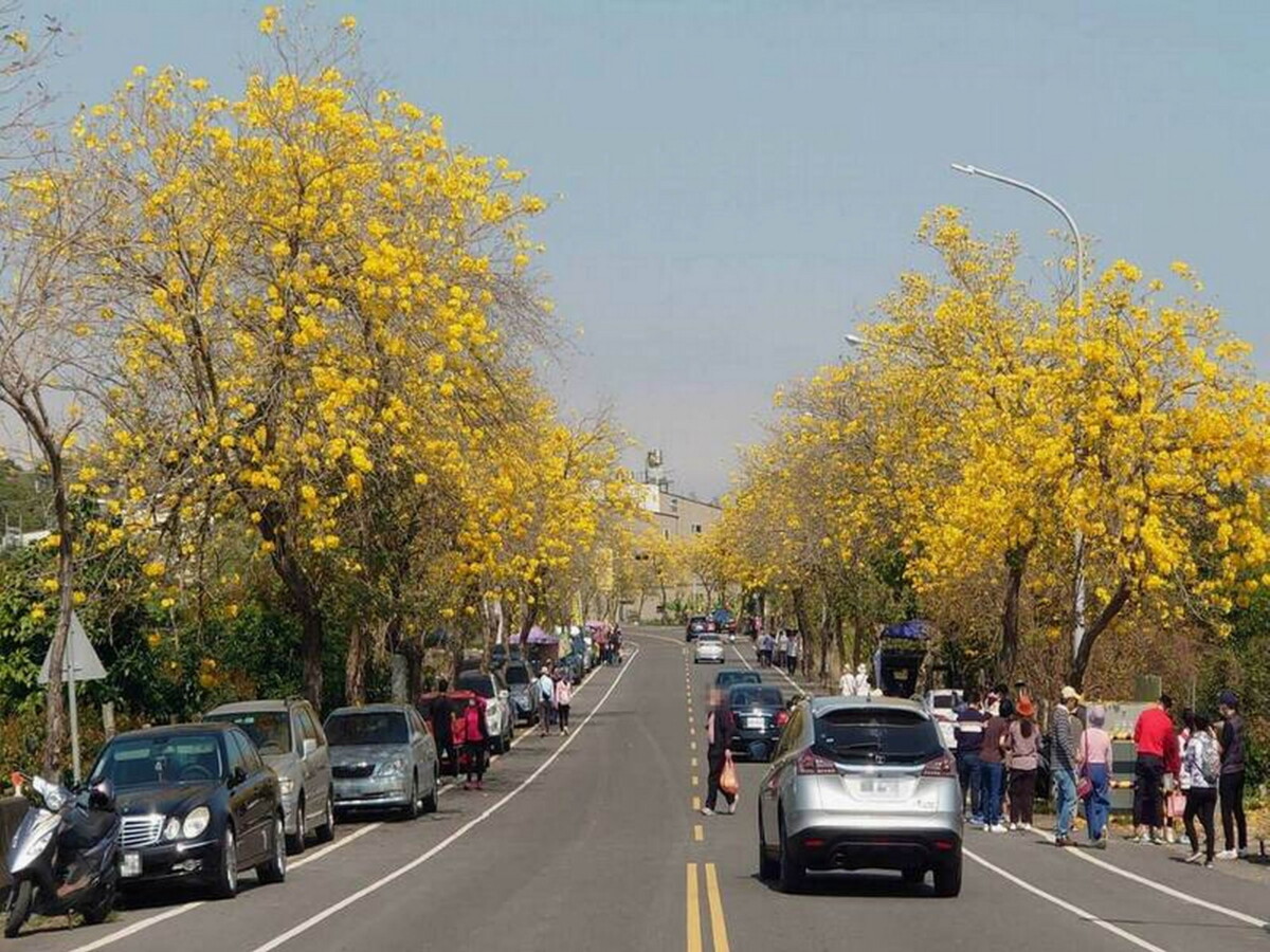 591b7c03079e6540fdb4ea3d24081c82