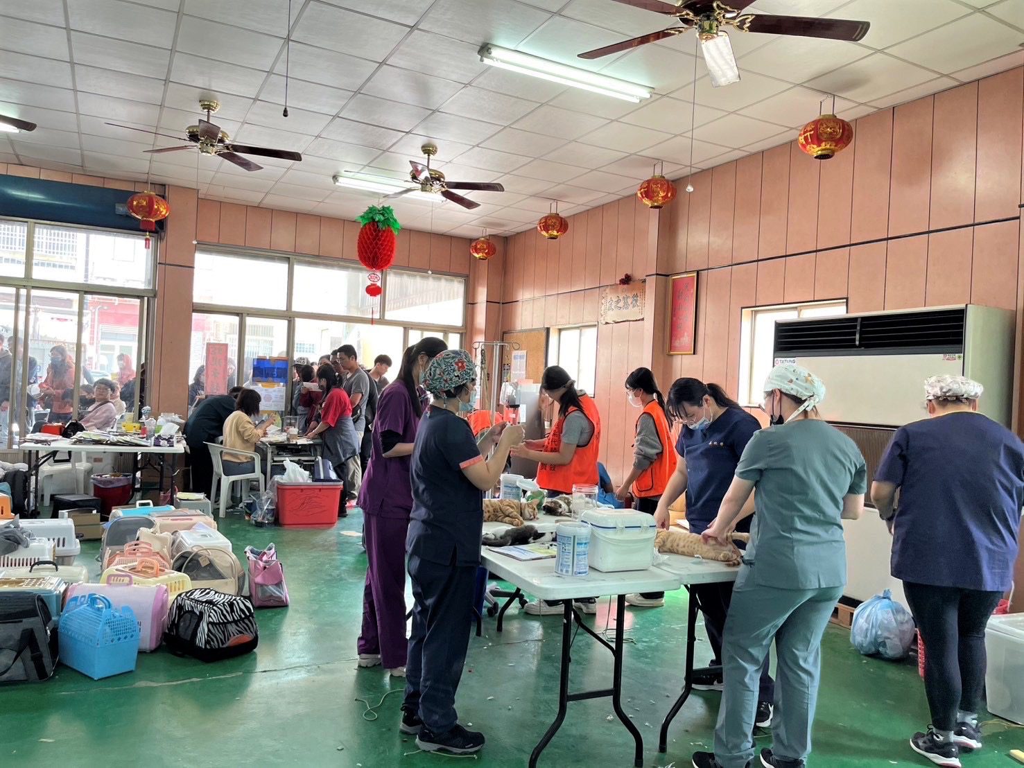 做個好主人！台中今年首場偏區犬貓絕育活動梧棲登場